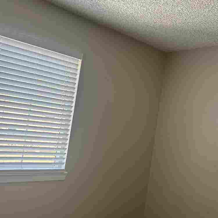 Roomate Needed