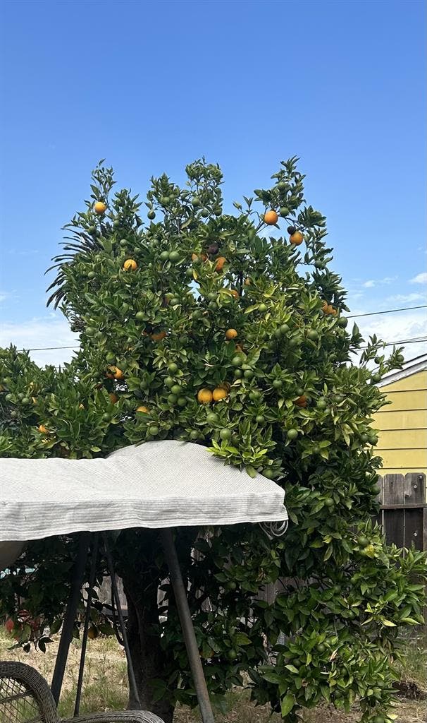 Looking for roomate!