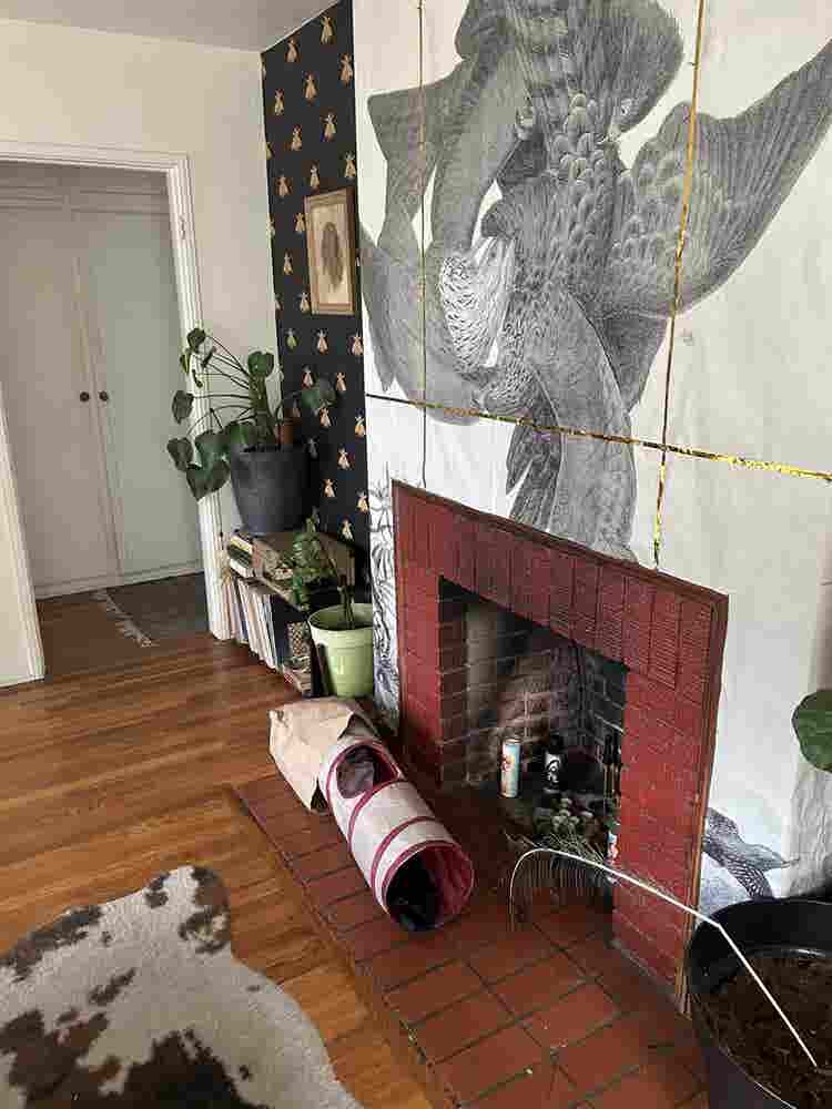 Looking for roomate!