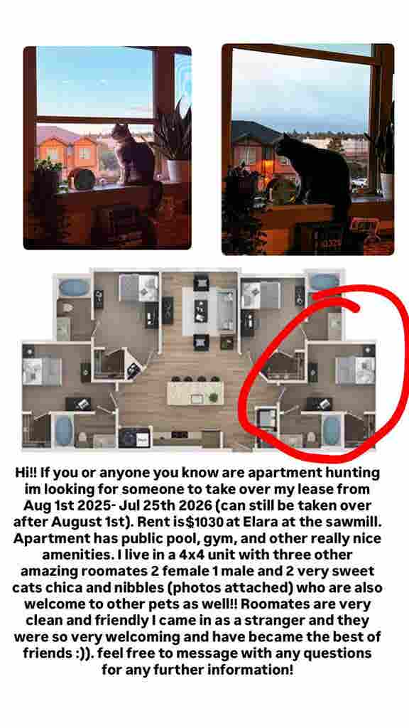 New Listing