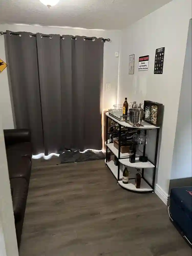 Room for rent near USF. January 1