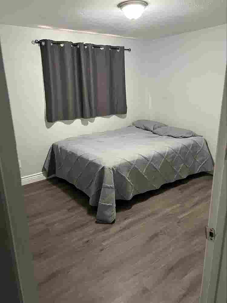 Room for rent near USF