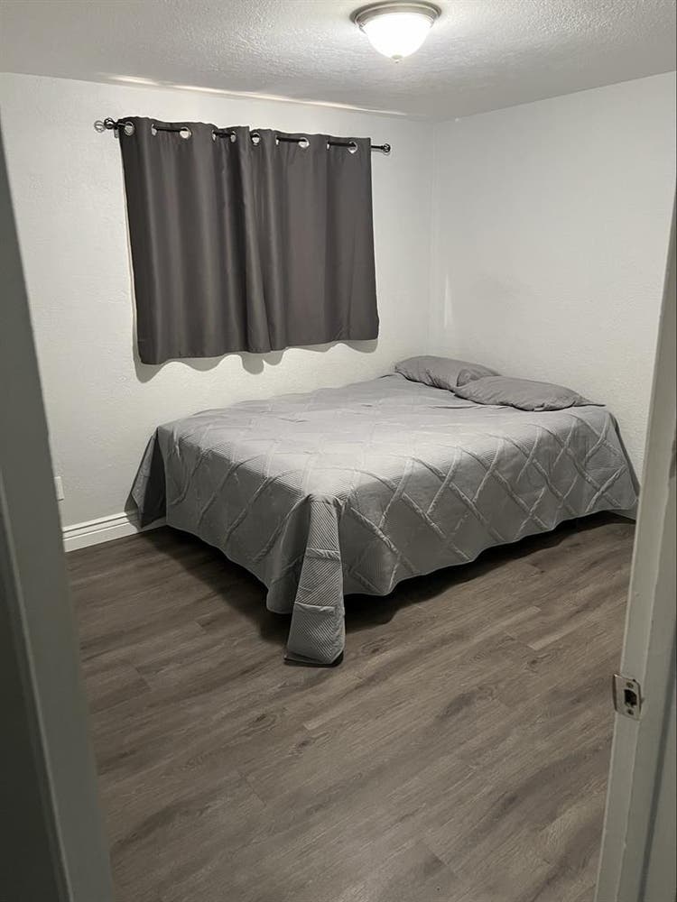 Room for rent near USF