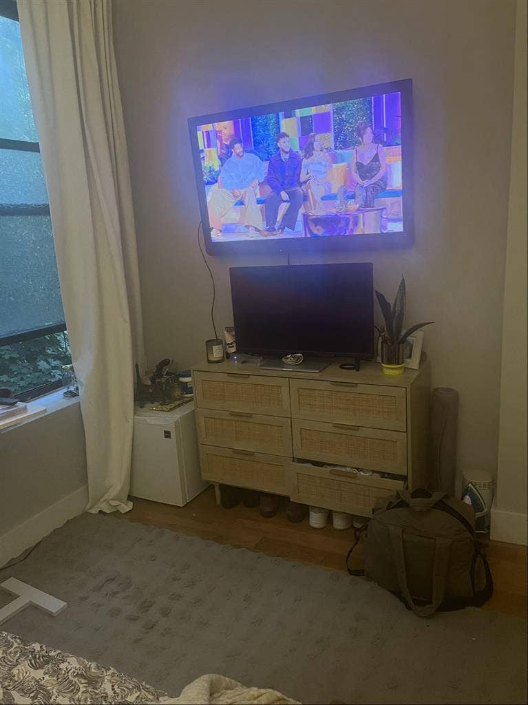 Roommate needs for Oct 1st!