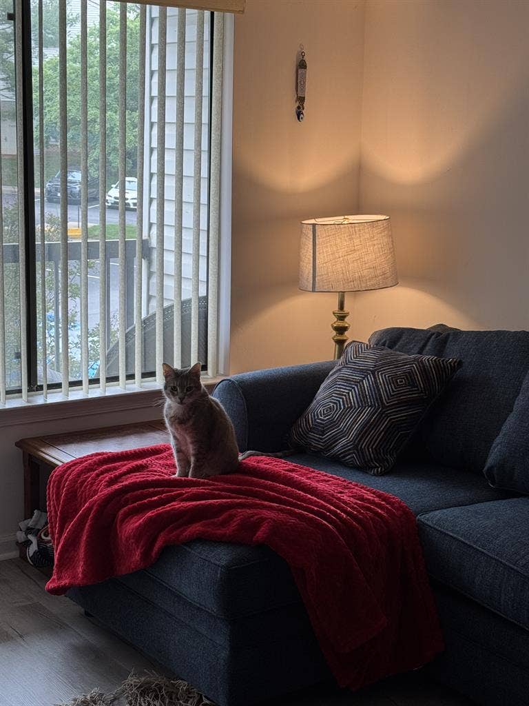 New Listing
