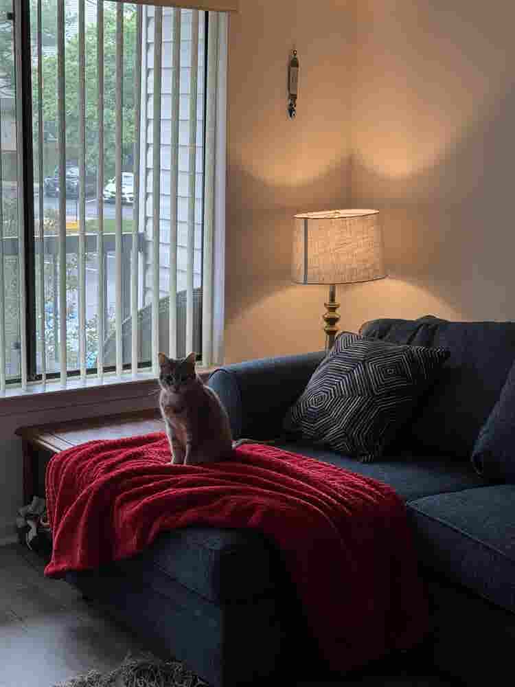 New Listing