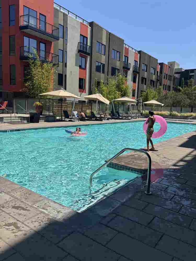 Looking for a Roommate or two