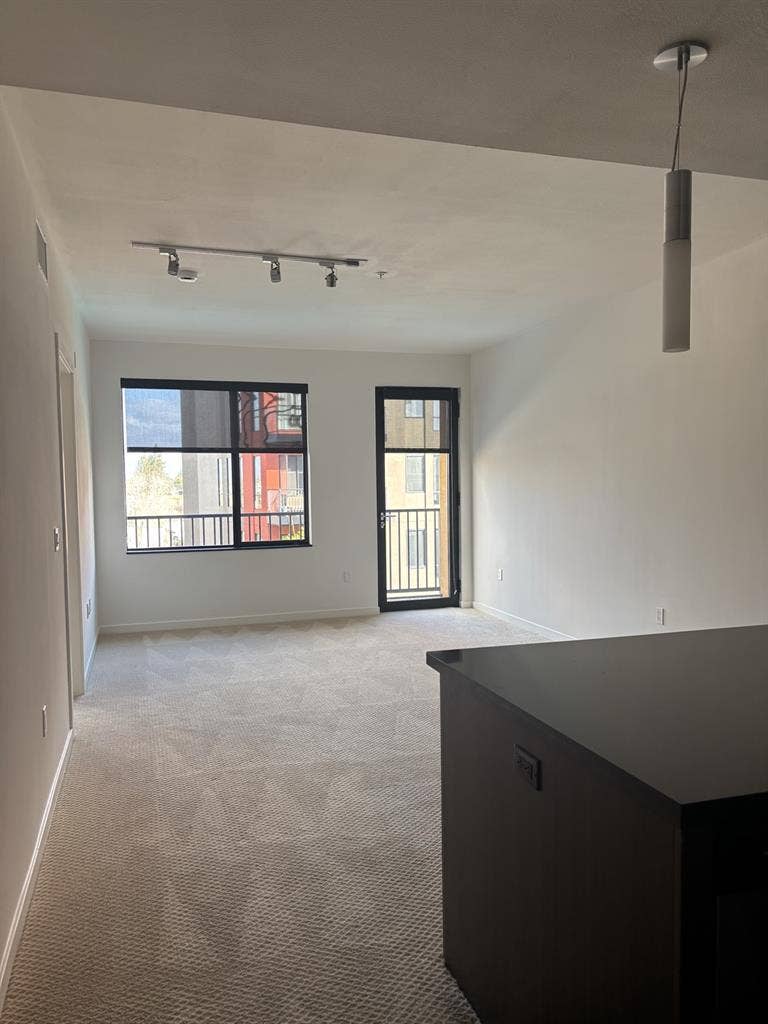 Looking for a Roommate or two