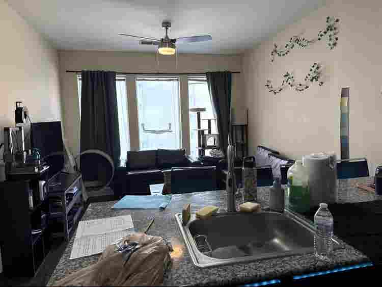 Room in the Hue, Savannah