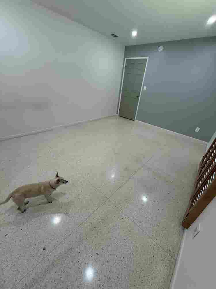 Room Avail in North Hills House!