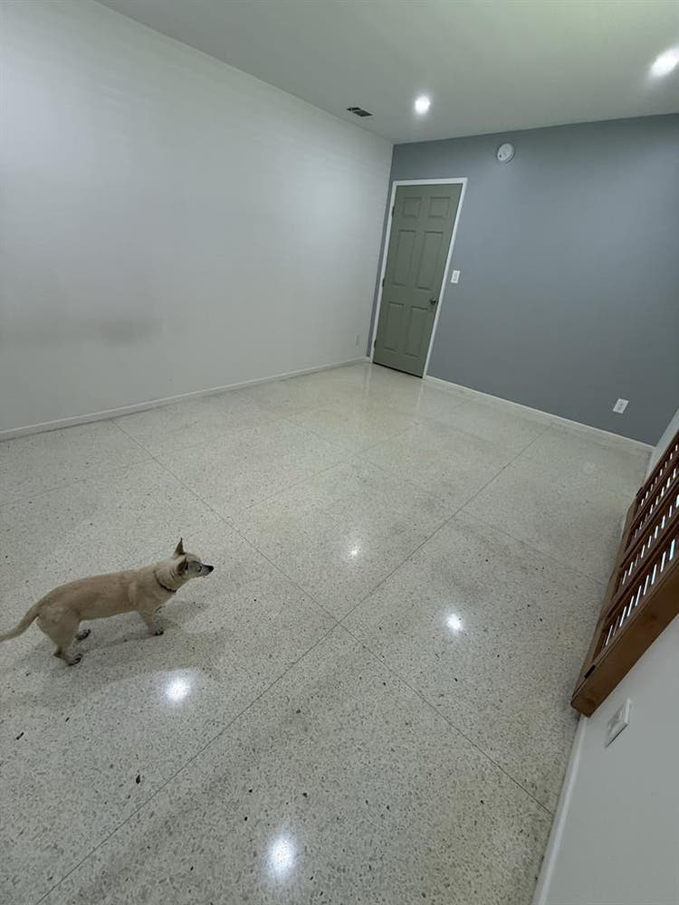 Room Avail in North Hills House!