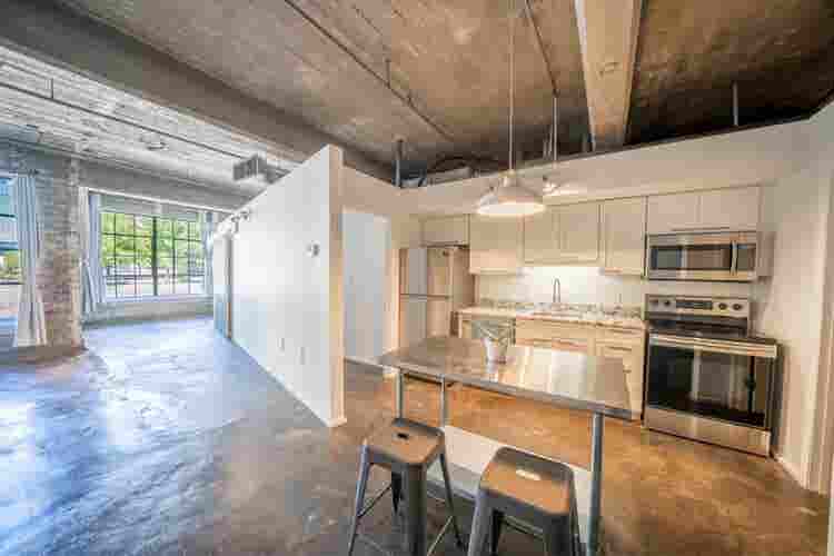 Roommate for Industrial Style Loft!