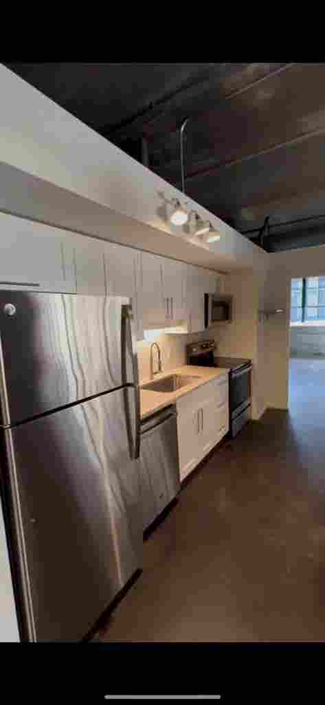 Roommate for Industrial Style Loft!