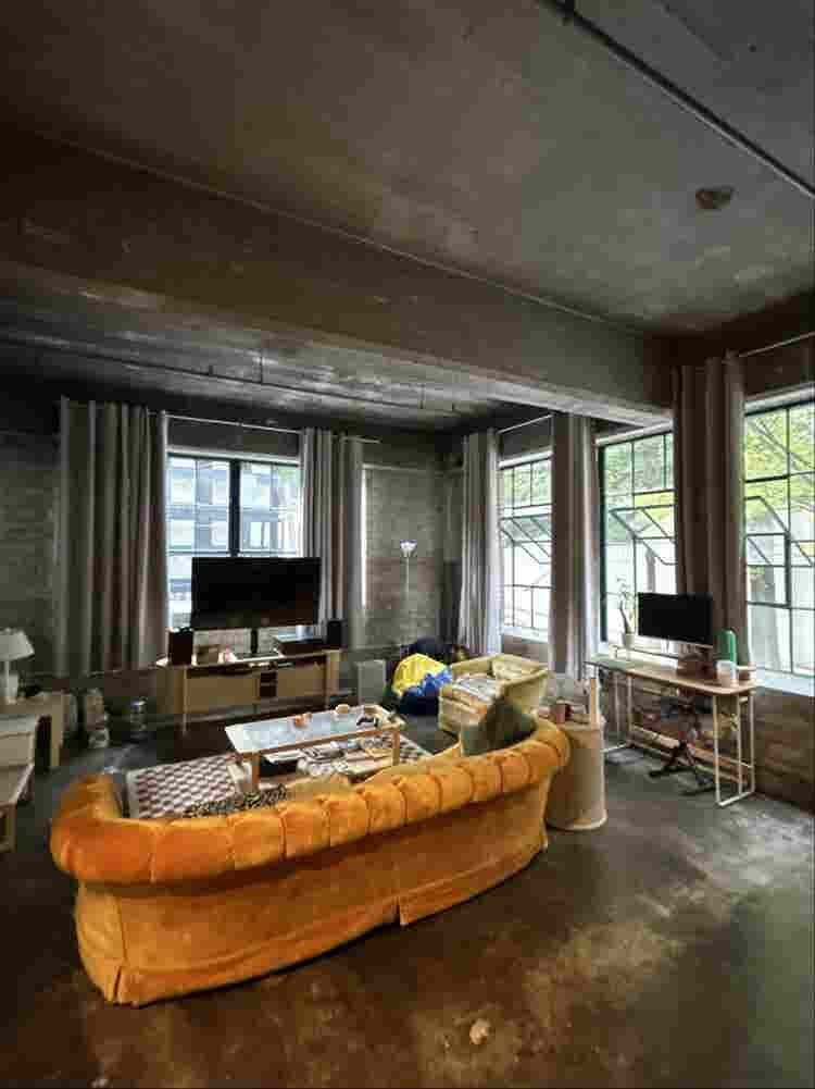 Roommate for Industrial Style Loft!