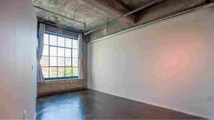 Roommate for Industrial Style Loft!