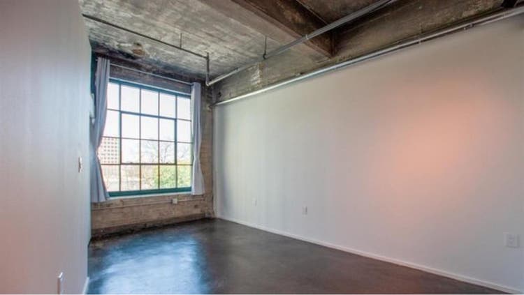 Roommate for Industrial Style Loft!