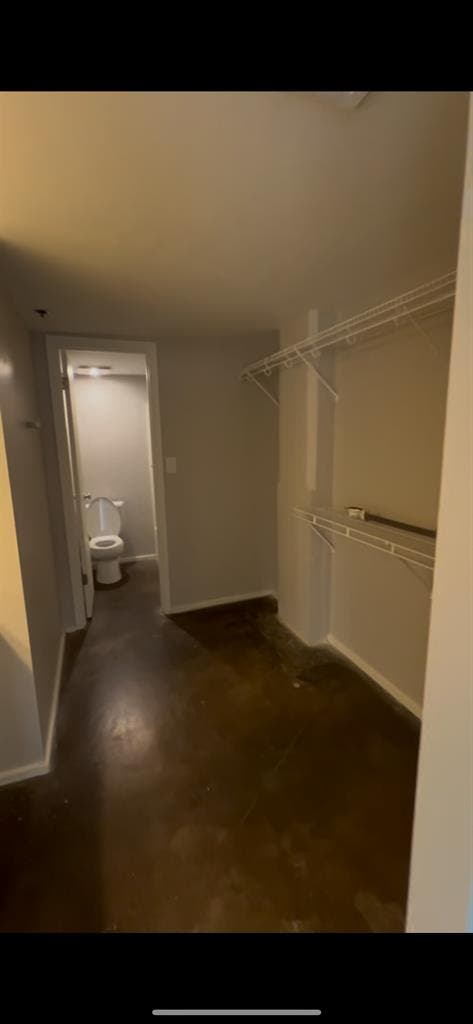 Roommate for Industrial Style Loft!