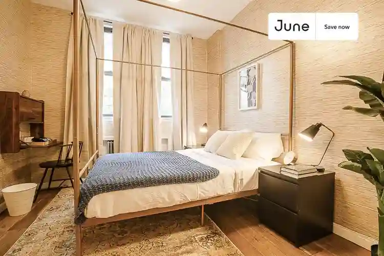 1 BR in New York City