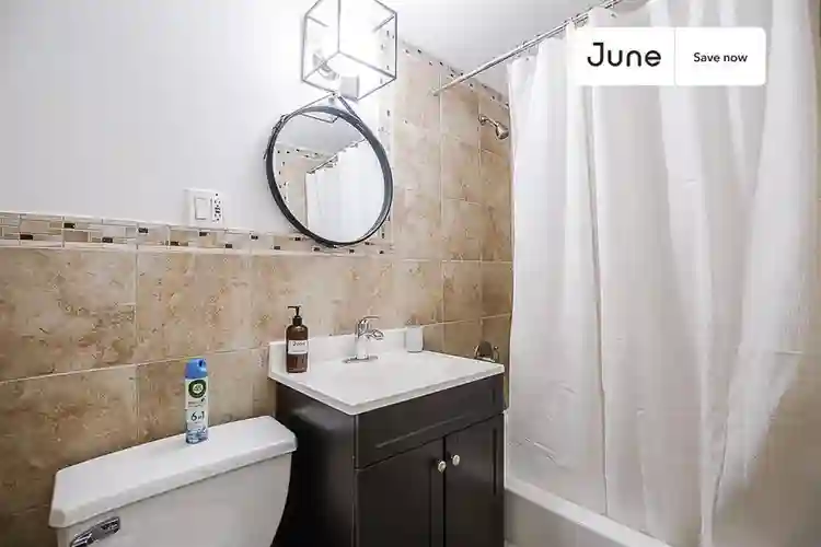 1 BR in New York City