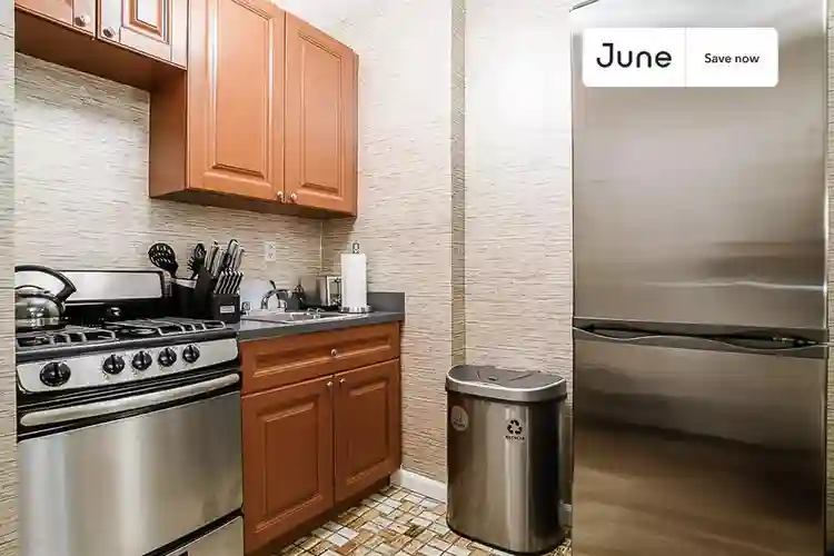 1 BR in New York City