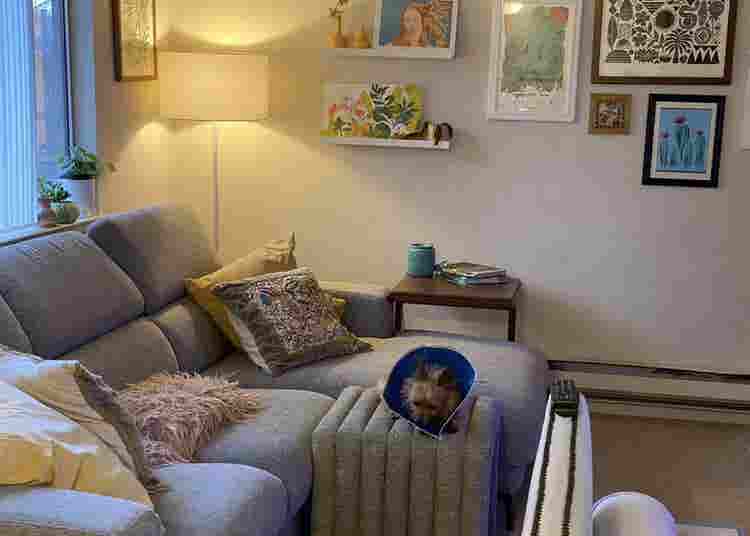 Seeking Female Christian Roommate