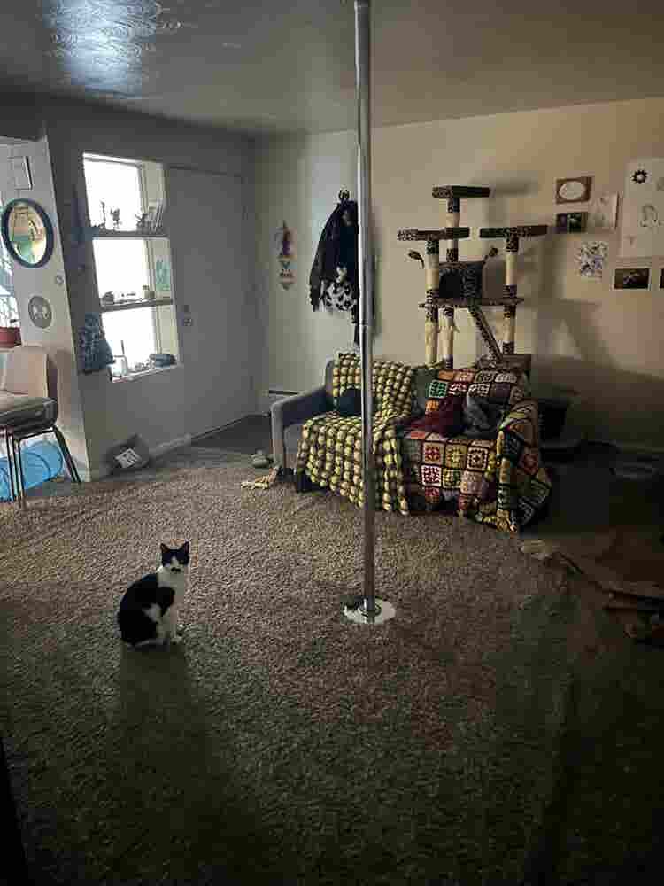 Room For Rent October 1