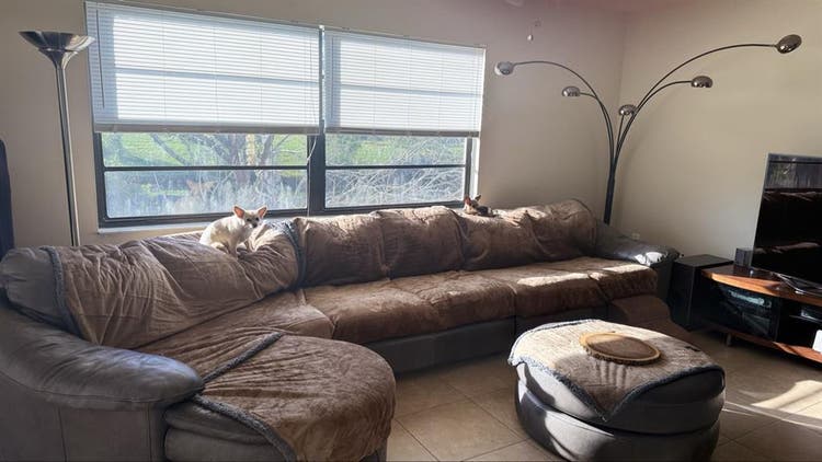 New Port Richey Waterview Home