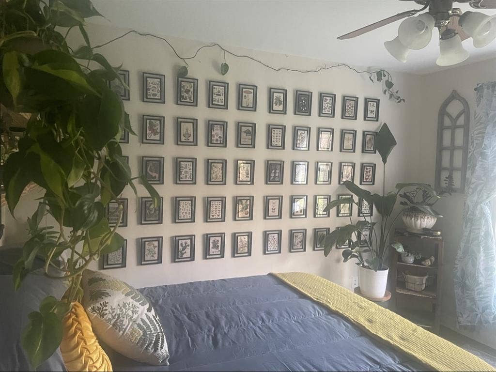 Furnished plant room (iso female)