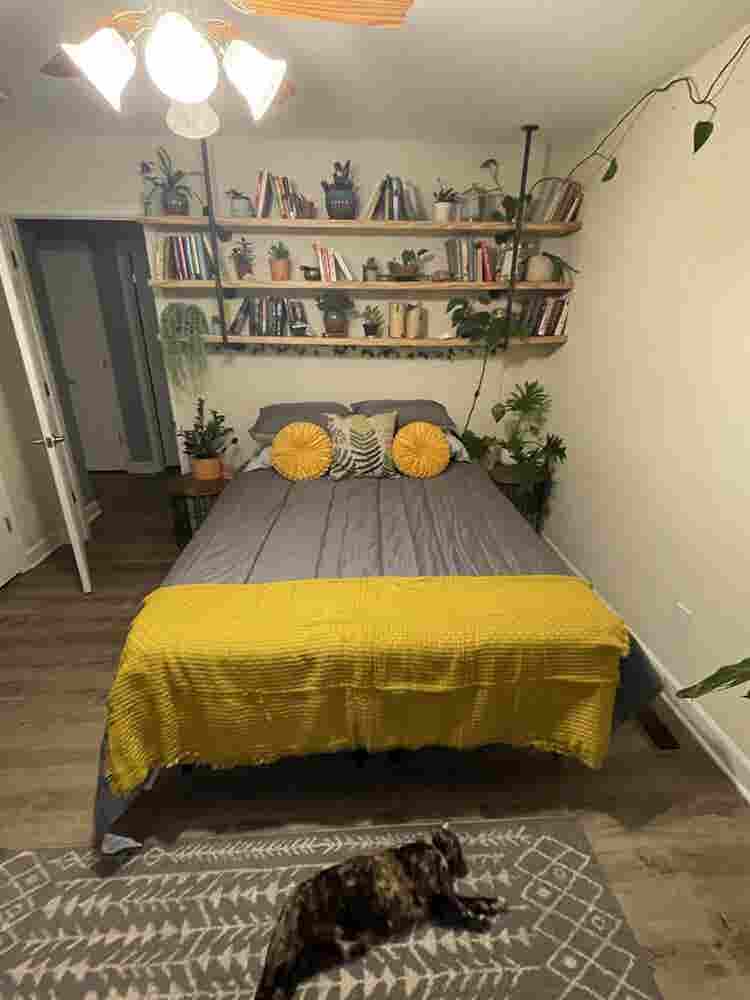 Furnished plant room (iso female)