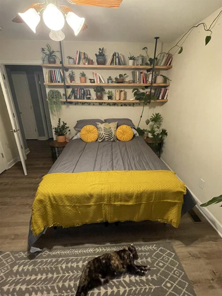 Furnished plant room (iso female)