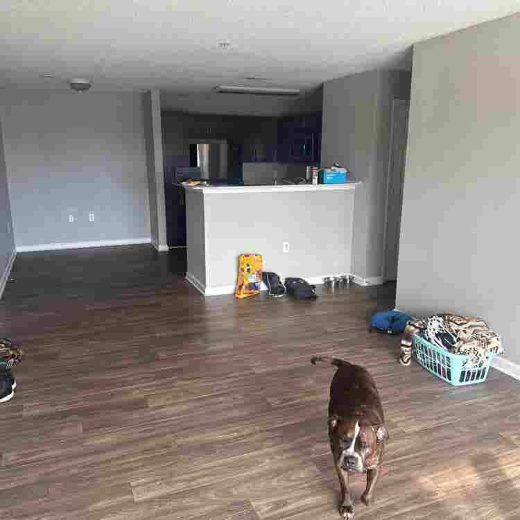 New Listing