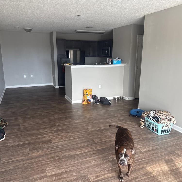 New Listing