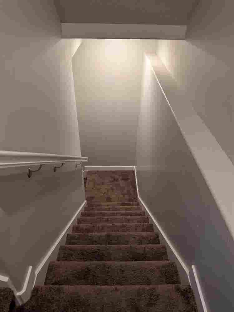 Entire Basement for Rent
