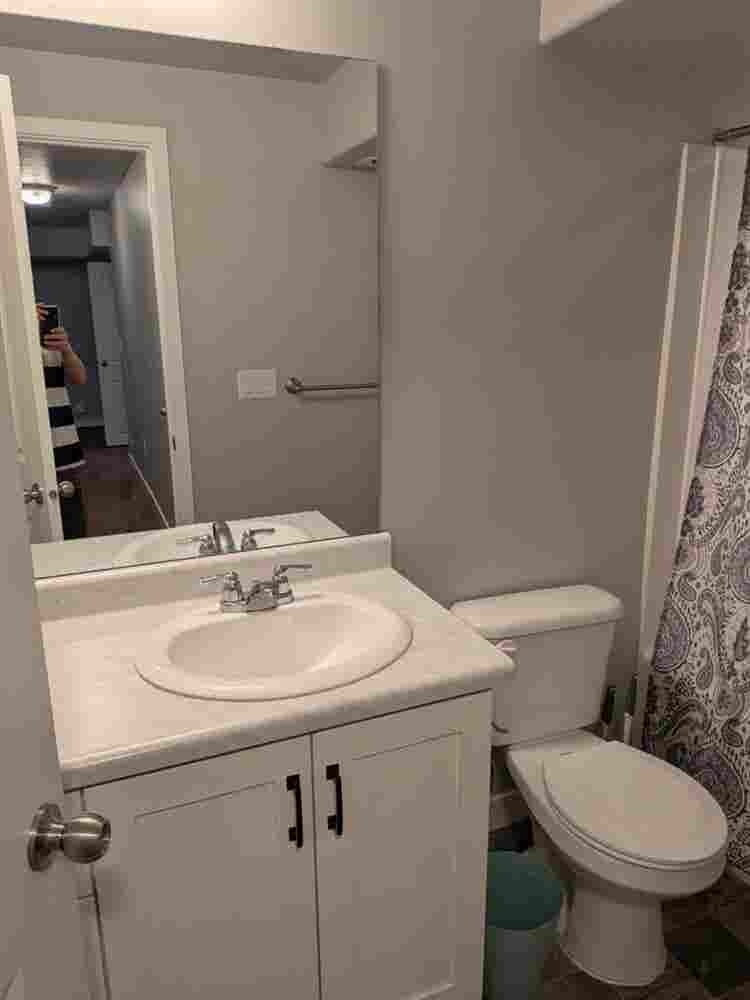 Entire Basement for Rent