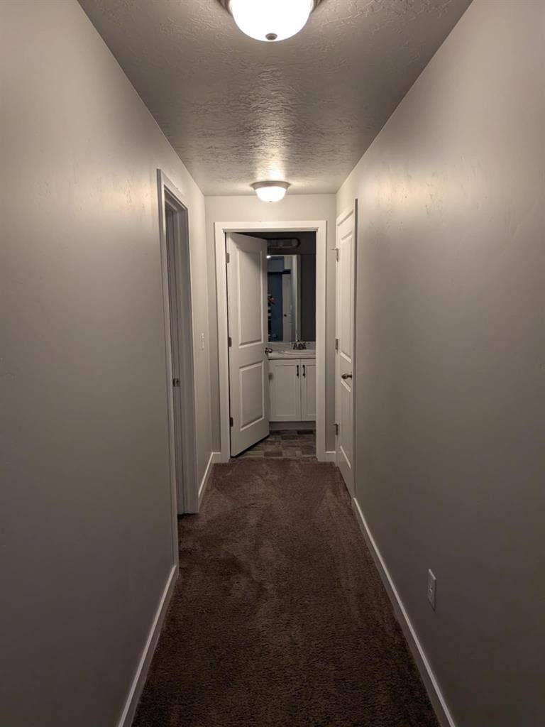 Entire Basement for Rent