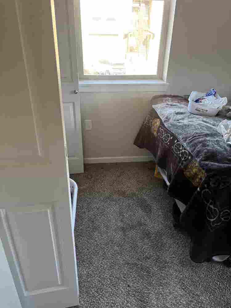 Room for rent immediately