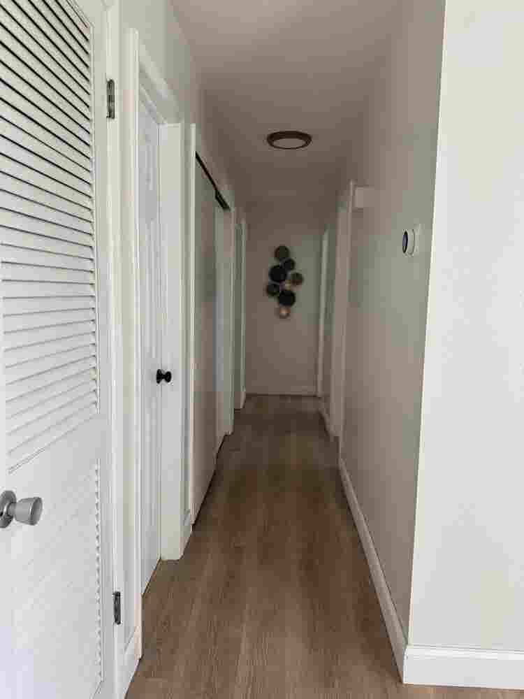Room for rent near USF - ALL IN!