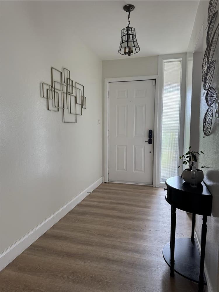 Room for rent near USF - ALL IN!