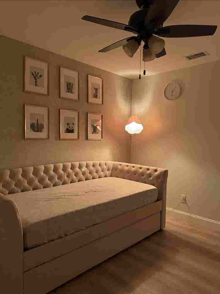 Room for rent near USF - ALL IN!