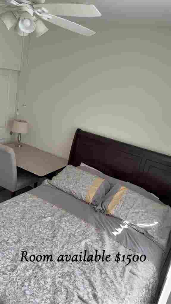 Room w/ bathroom available now!