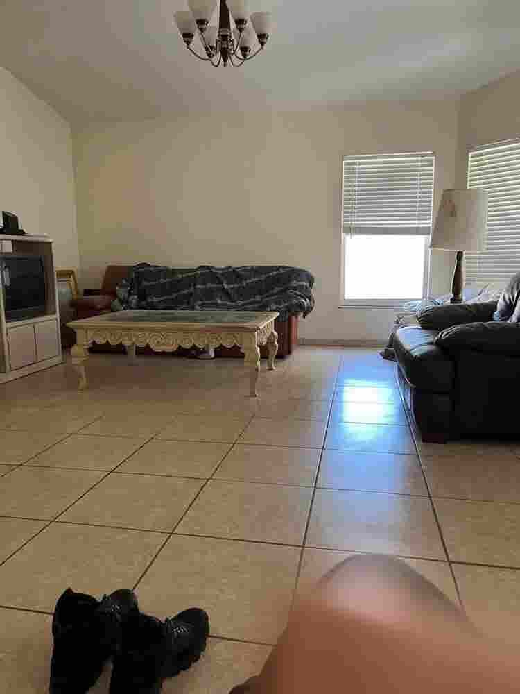 Looking for a Roommate