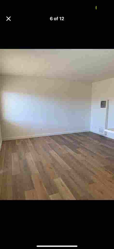 Lease Takeover - Female Roommate
