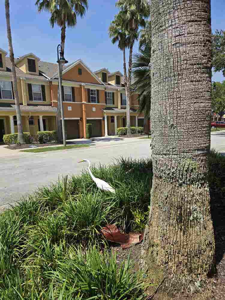 Resort-Style Living on a budget!
