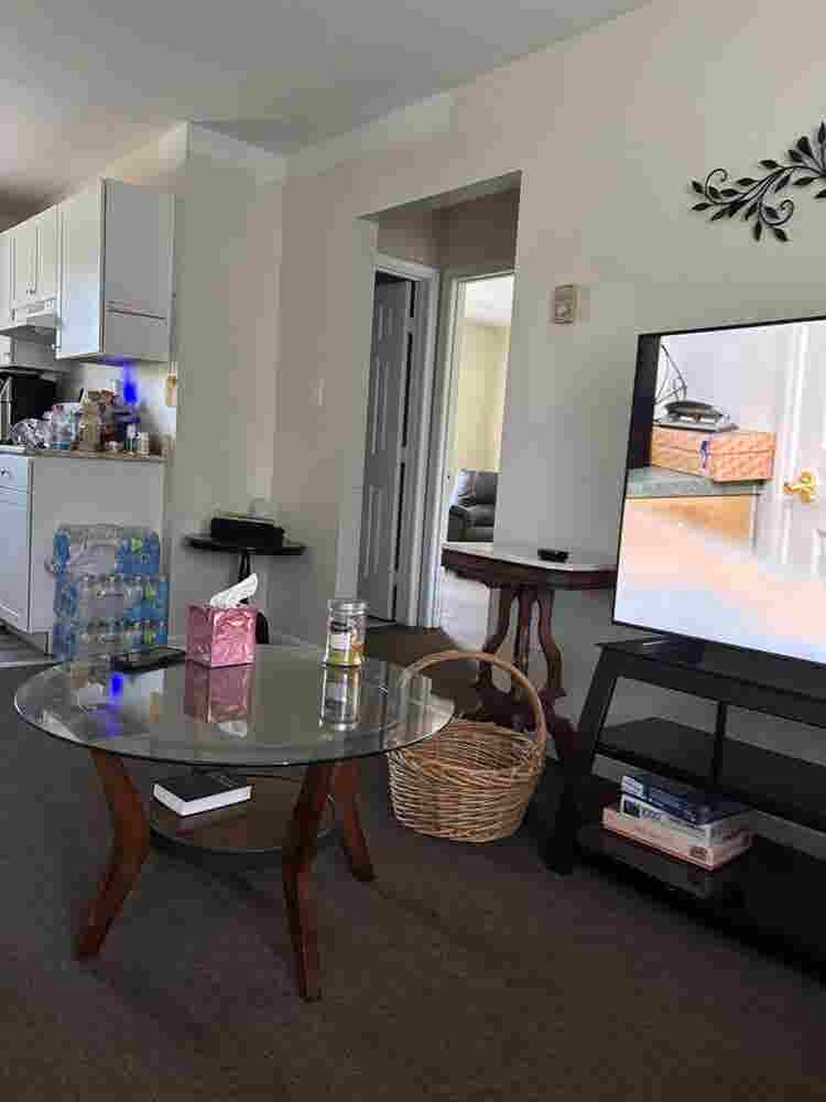Seeking roommate . Prefer.+