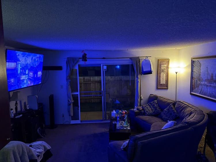 Reichmuth Park Apartment