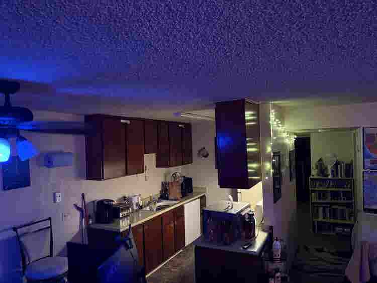 Reichmuth Park Apartment