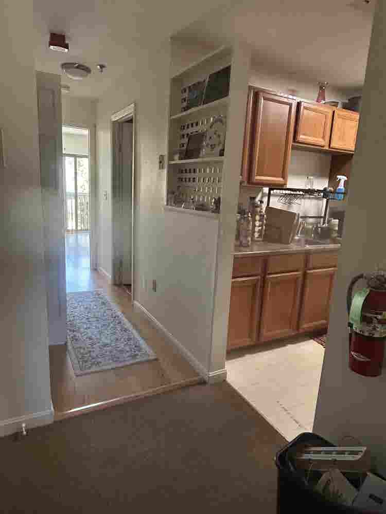 Looking for a roommate!