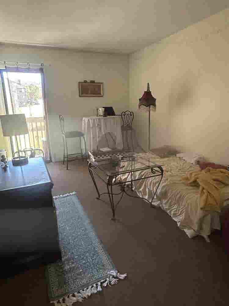 Looking for a roommate!