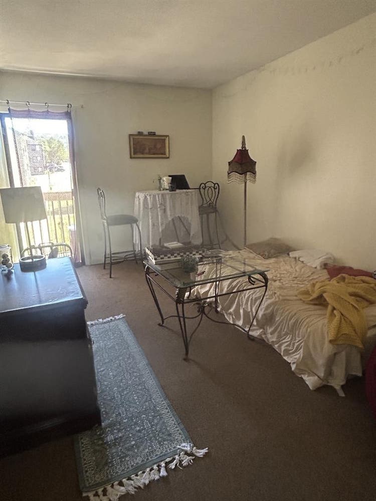 Looking for a roommate!