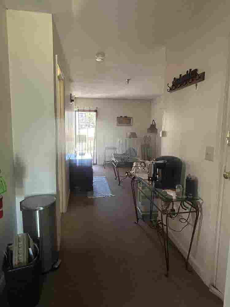 Looking for a roommate!